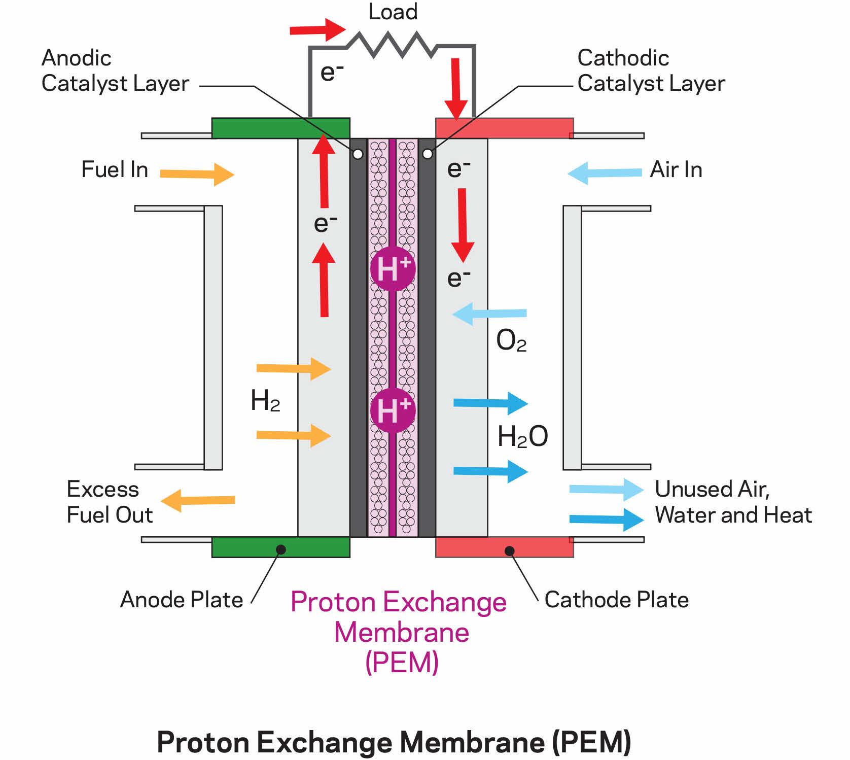 Innovative Fuel Cells Enabled by Ion Exchange Membranes