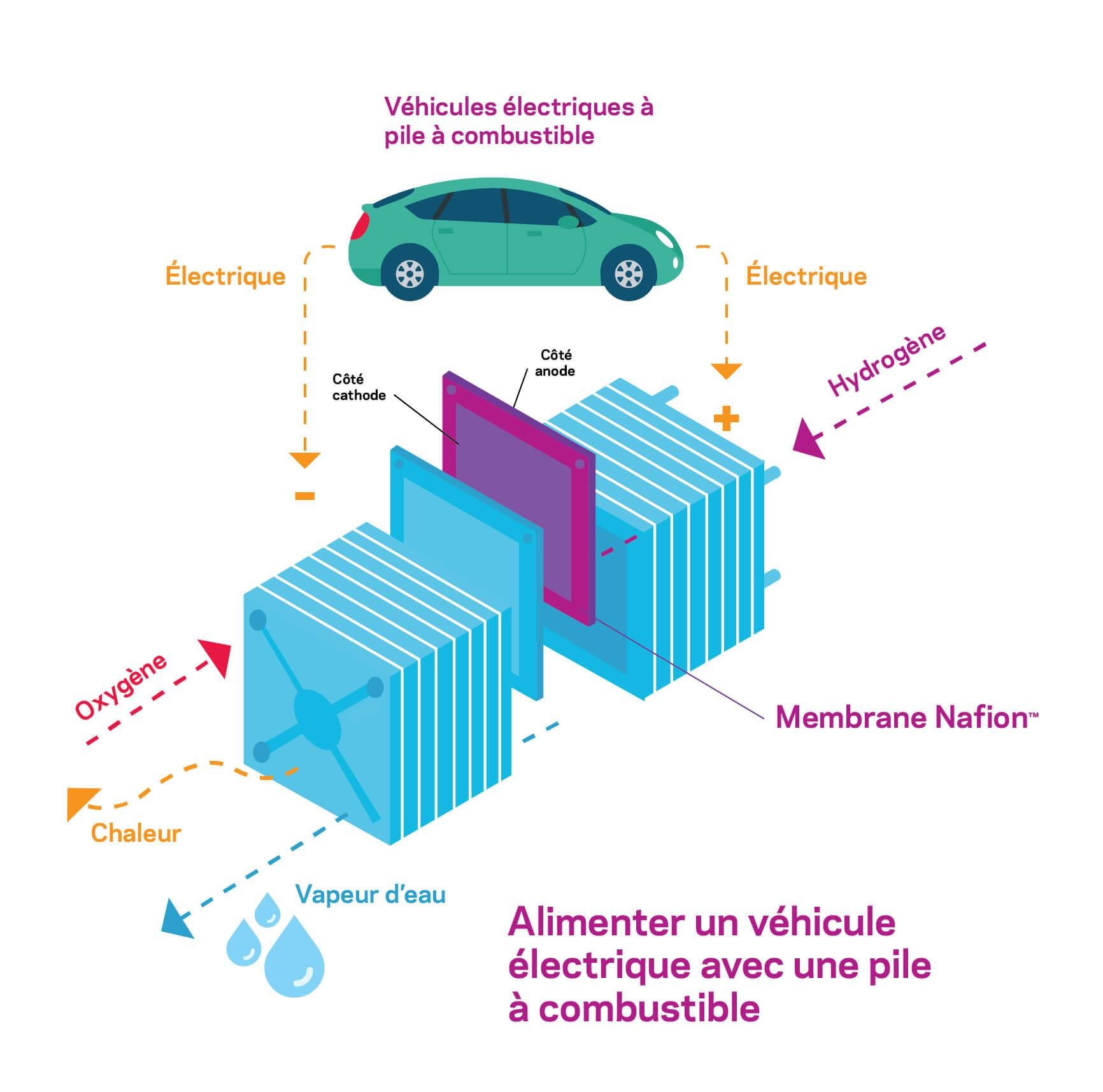 Alimenter un véhicule électrique avec une pile à combustible